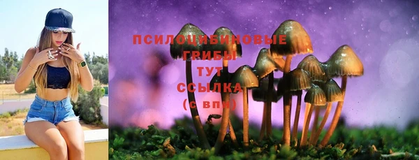 ECSTASY Нефтекумск