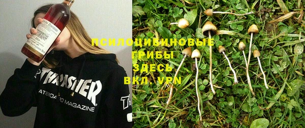 ECSTASY Нефтекумск