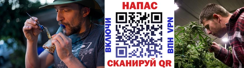 хочу   Приморско-Ахтарск  Каннабис MAZAR 